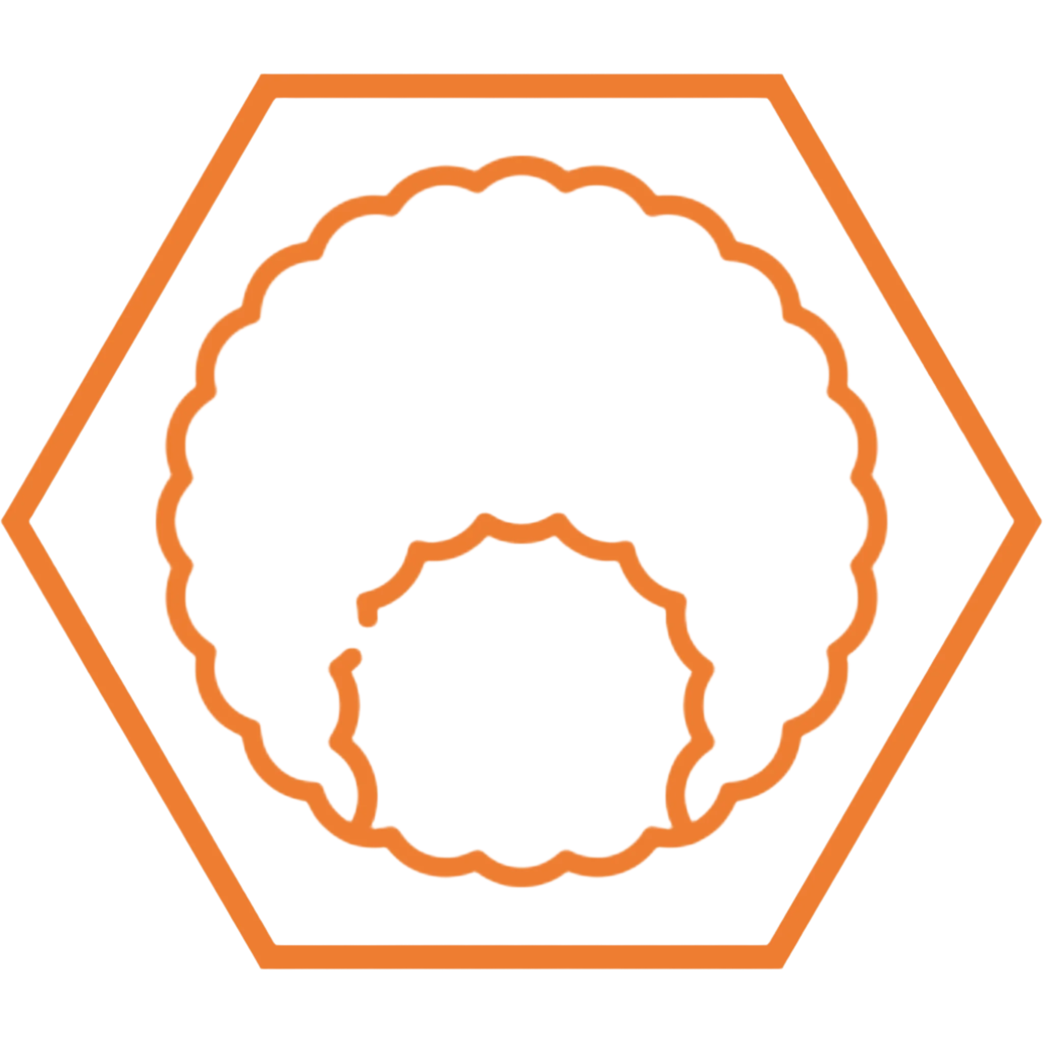 Orange icon of a curly afro outline inside a hexagon.